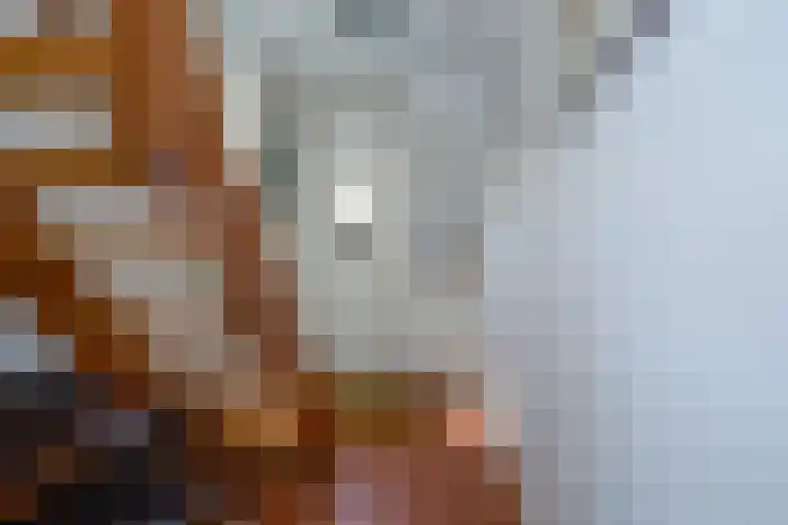 Jonkerlaantje 38 Edam thumbnail 13