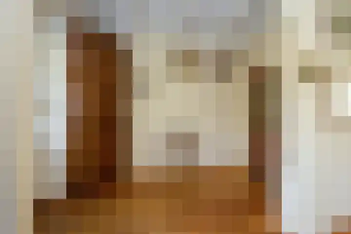 Jonkerlaantje 38 Edam thumbnail 20