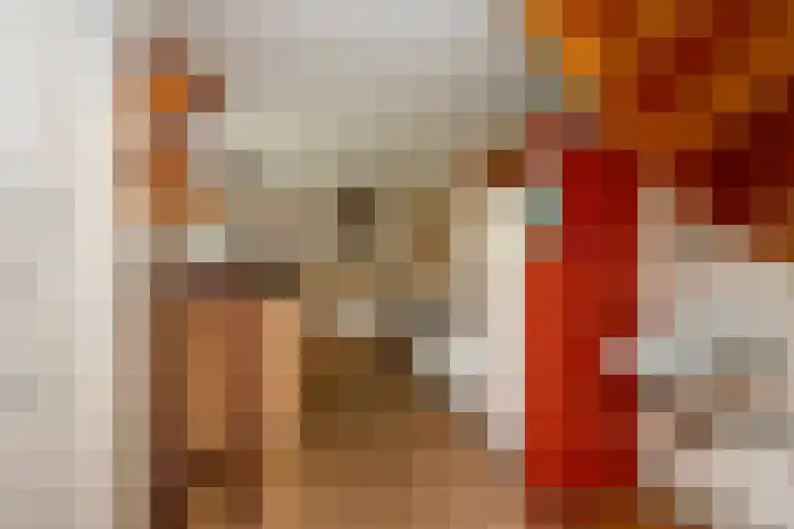 Jonkerlaantje 38 Edam thumbnail 21
