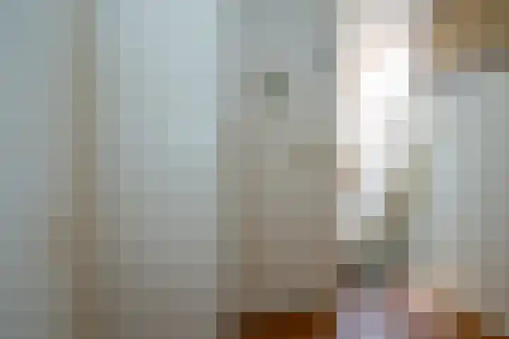 Jonkerlaantje 38 Edam thumbnail 25
