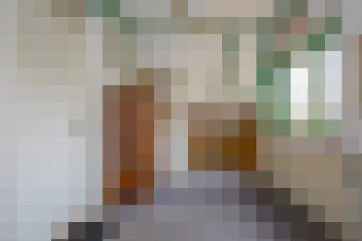 Jonkerlaantje 38 Edam thumbnail 34