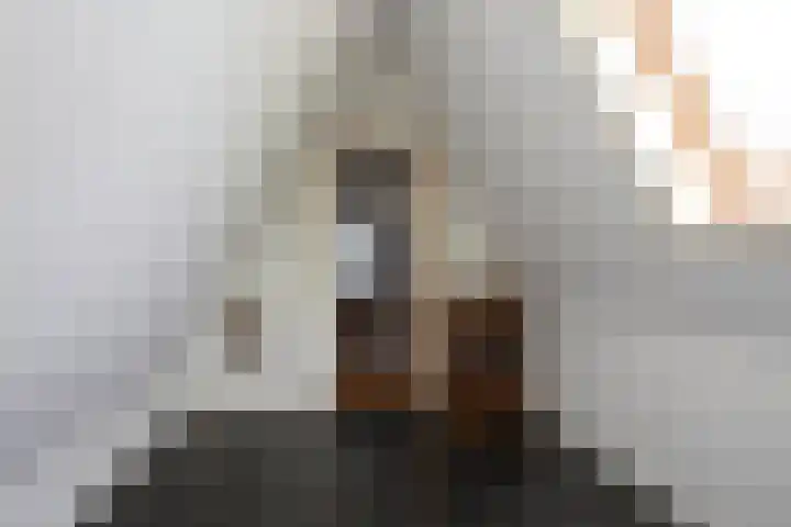 Jonkerlaantje 38 Edam thumbnail 37