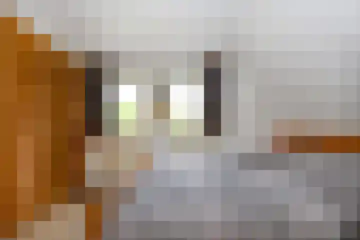 Jonkerlaantje 38 Edam thumbnail 4