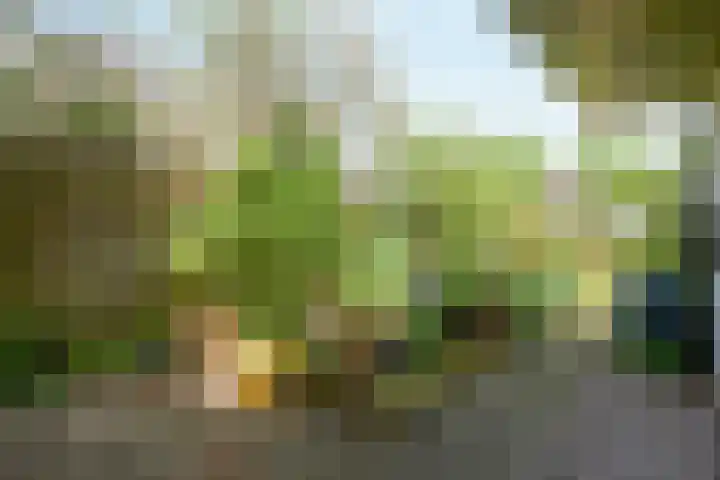 Jonkerlaantje 38 Edam thumbnail 42