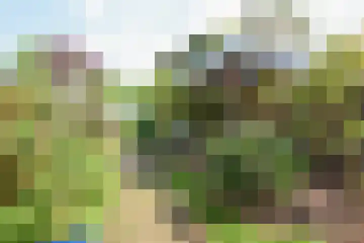Jonkerlaantje 38 Edam thumbnail 46