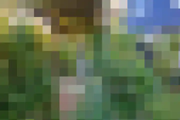 Jonkerlaantje 38 Edam thumbnail 47