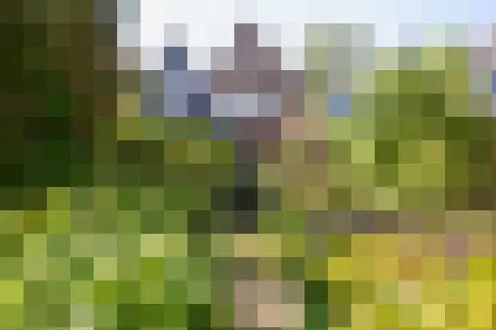 Jonkerlaantje 38 Edam thumbnail 48
