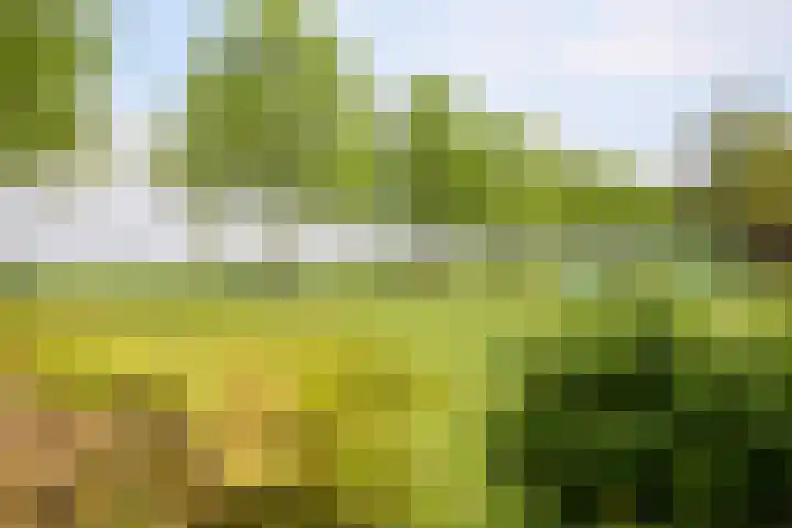 Jonkerlaantje 38 Edam thumbnail 49