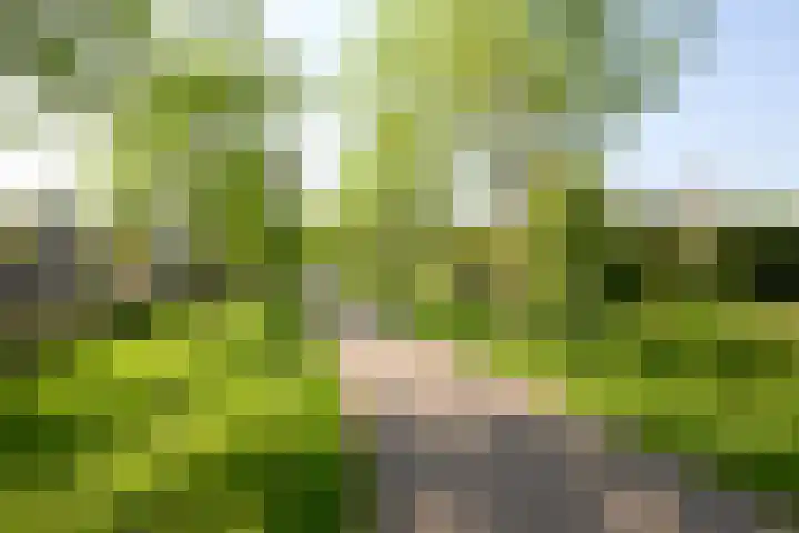 Jonkerlaantje 38 Edam thumbnail 5