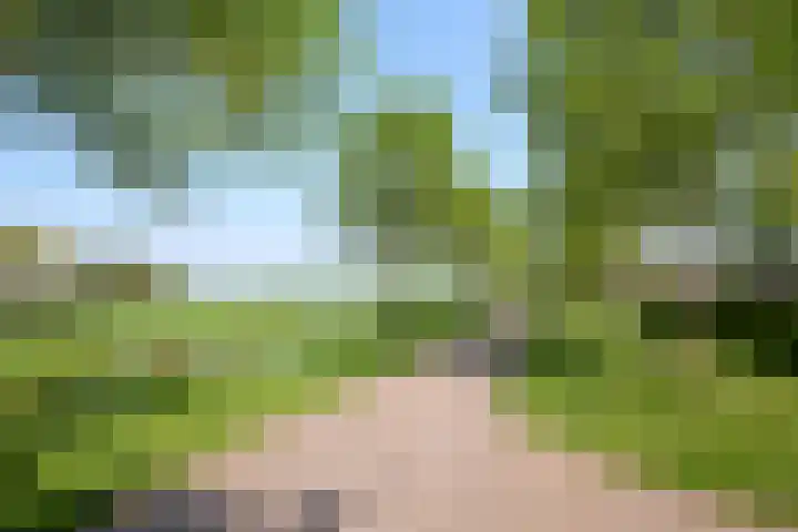 Jonkerlaantje 38 Edam thumbnail 6