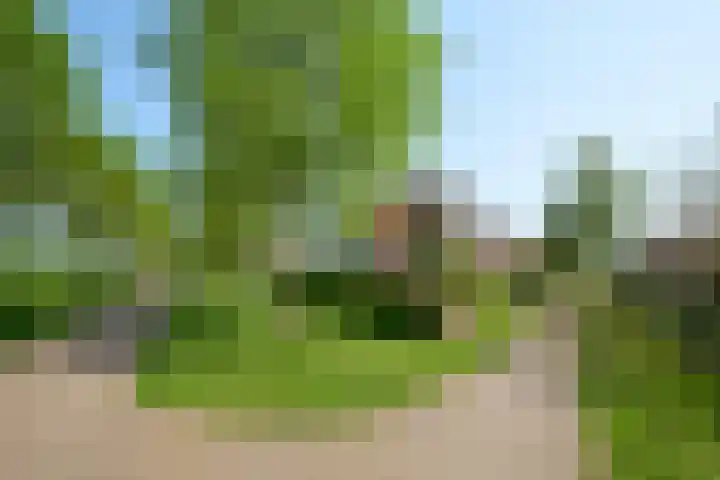 Jonkerlaantje 38 Edam thumbnail 7