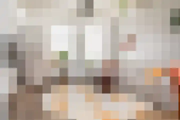 Jonkerlaantje 8 Edam thumbnail 5