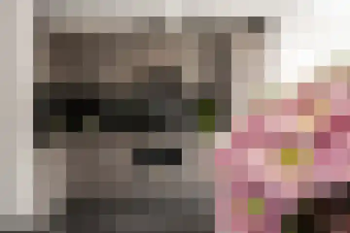 Jonkers van Ossstraat 12 Oss thumbnail 11