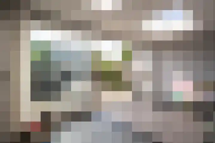 Jonkers van Ossstraat 12 Oss thumbnail 13