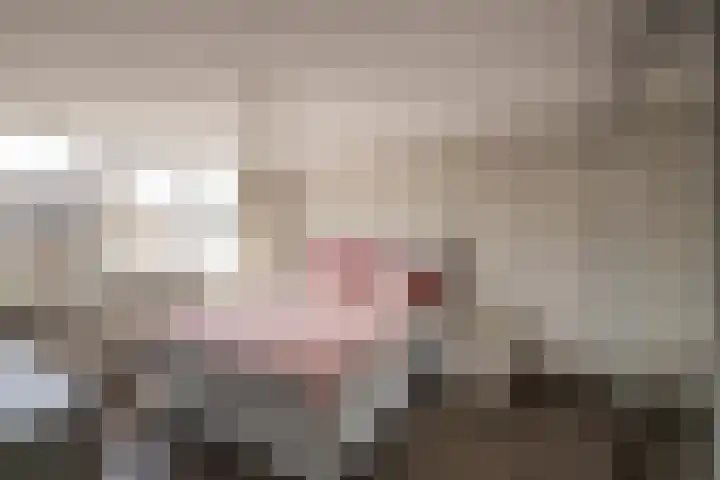 Jonkers van Ossstraat 12 Oss thumbnail 14