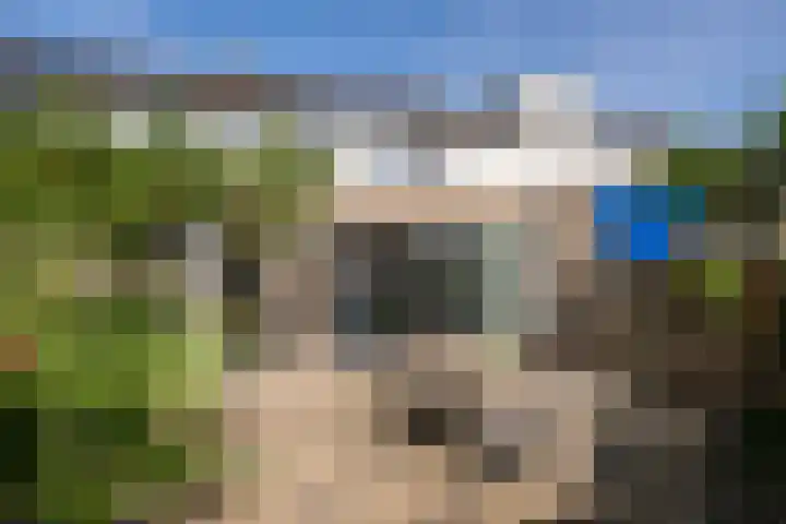 Jonkers van Ossstraat 12 Oss thumbnail 21