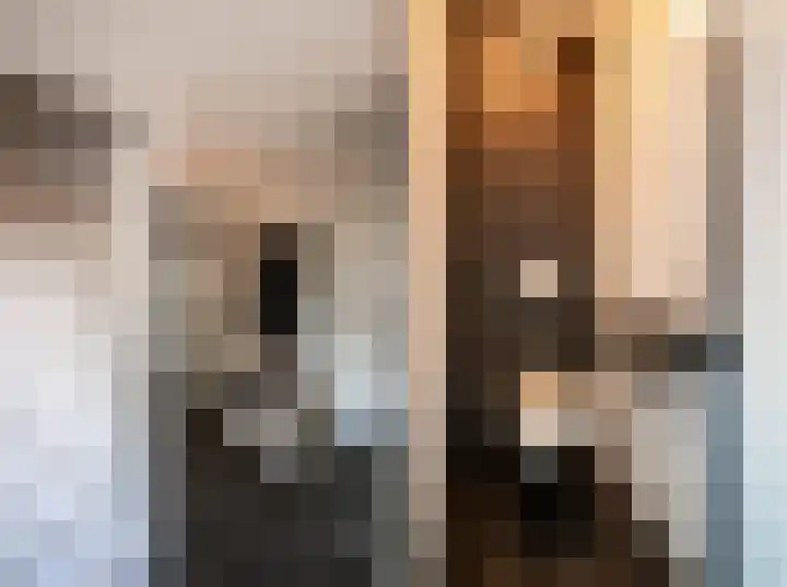 Jonkers van Ossstraat 12 Oss thumbnail 6