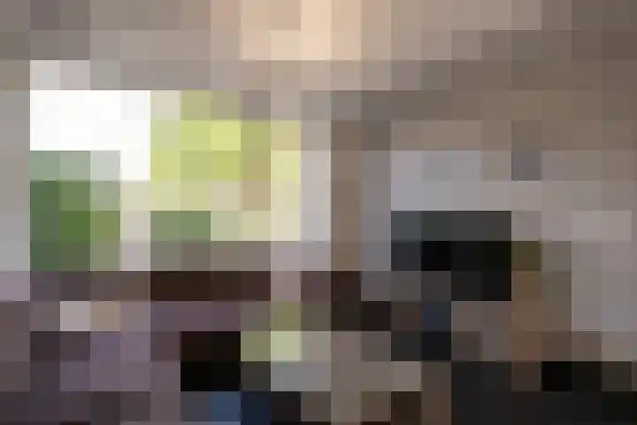 Jonkers van Ossstraat 12 Oss thumbnail 7