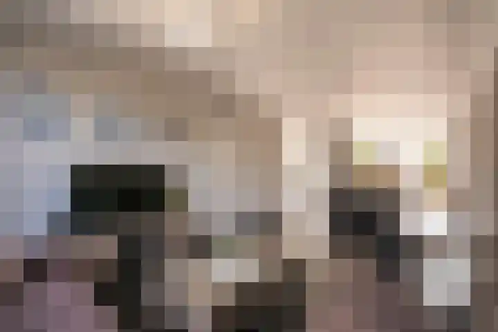 Jonkers van Ossstraat 12 Oss thumbnail 8