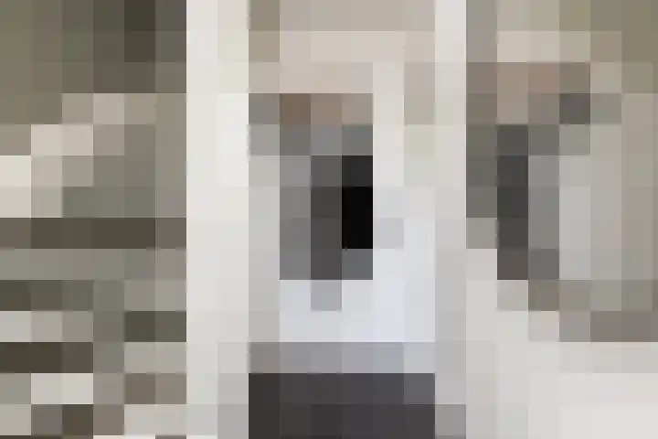 Jonkersfinne 7 Workum thumbnail 18
