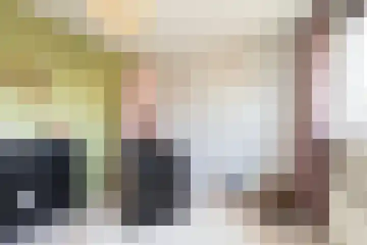 Jonkersfinne 7 Workum thumbnail 22