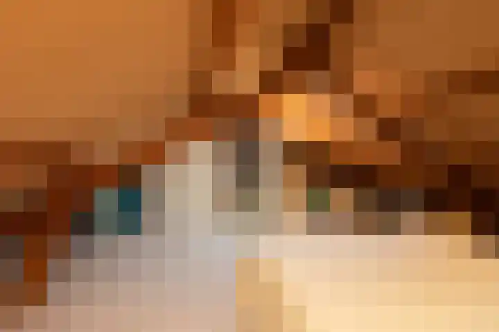Jonkersfinne 7 Workum thumbnail 31