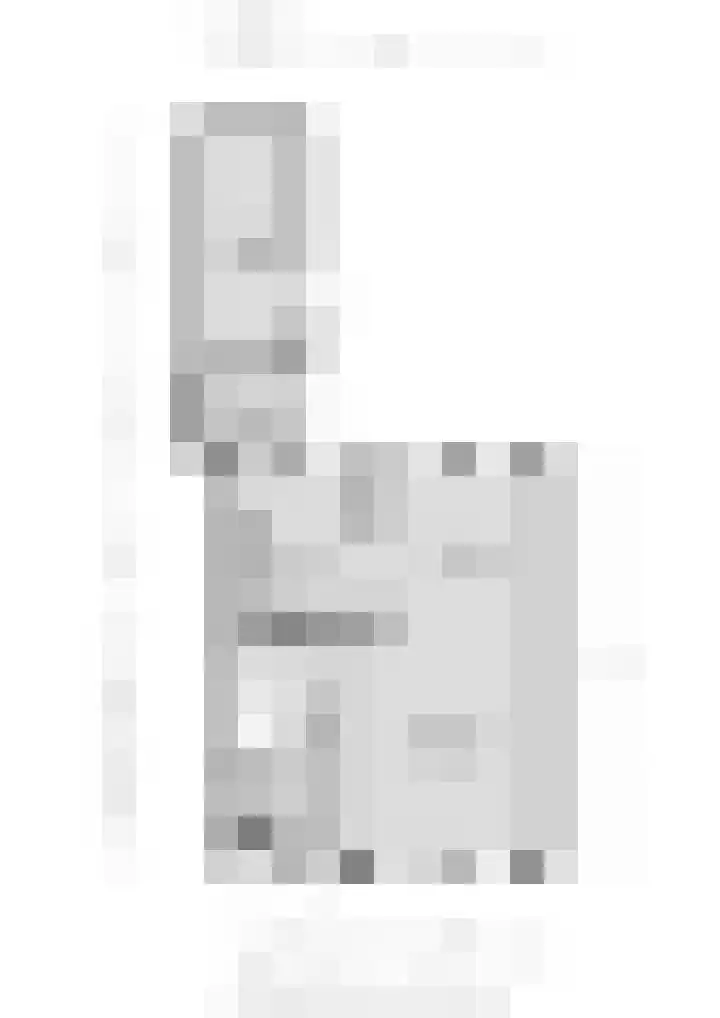 Jonkersfinne 7 Workum thumbnail 43