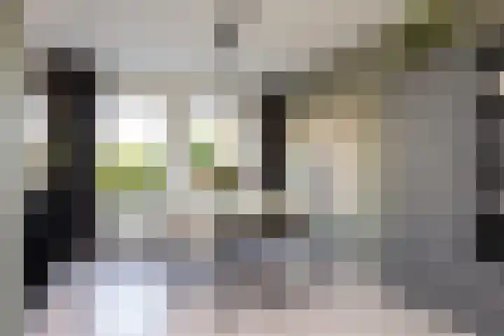 Jonkersfinne 7 Workum thumbnail 9