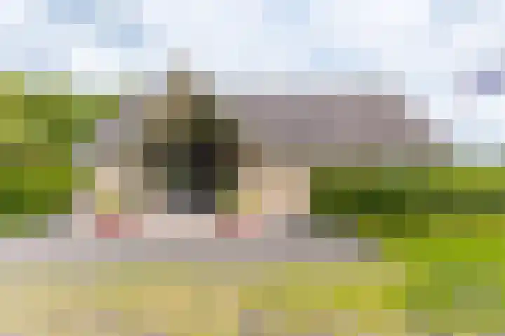 Jonkerslandreed 5 Oudehorne thumbnail 11