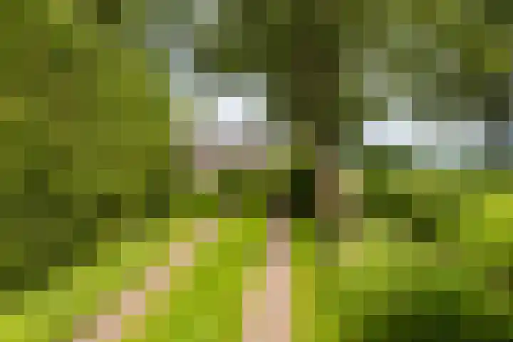 Jonkerslandreed 5 Oudehorne thumbnail 16