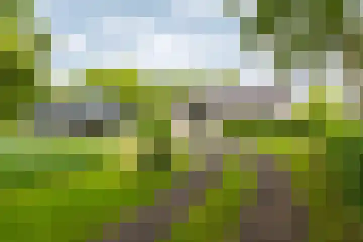 Jonkerslandreed 5 Oudehorne thumbnail 17