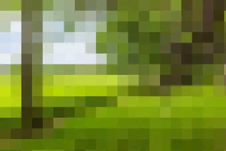 Jonkerslandreed 5 Oudehorne thumbnail 20