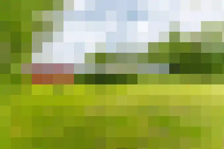 Jonkerslandreed 5 Oudehorne thumbnail 21