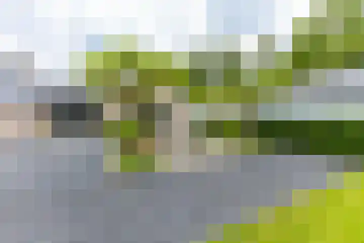 Jonkerslandreed 5 Oudehorne thumbnail 24