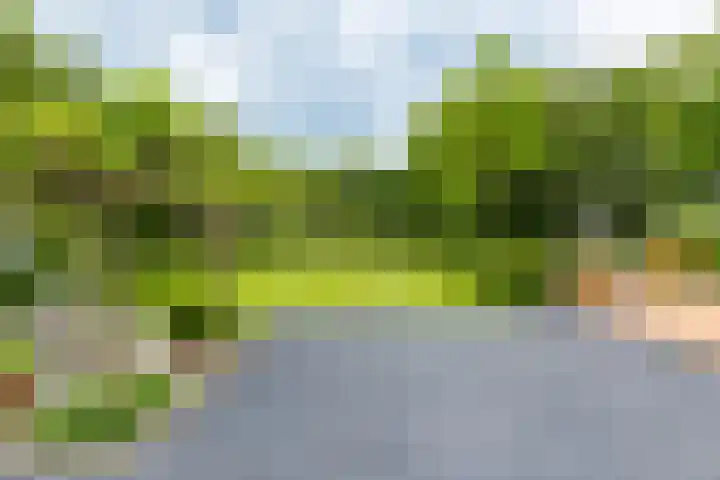 Jonkerslandreed 5 Oudehorne thumbnail 25