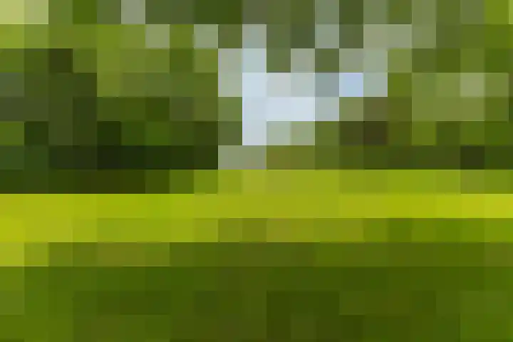 Jonkerslandreed 5 Oudehorne thumbnail 27