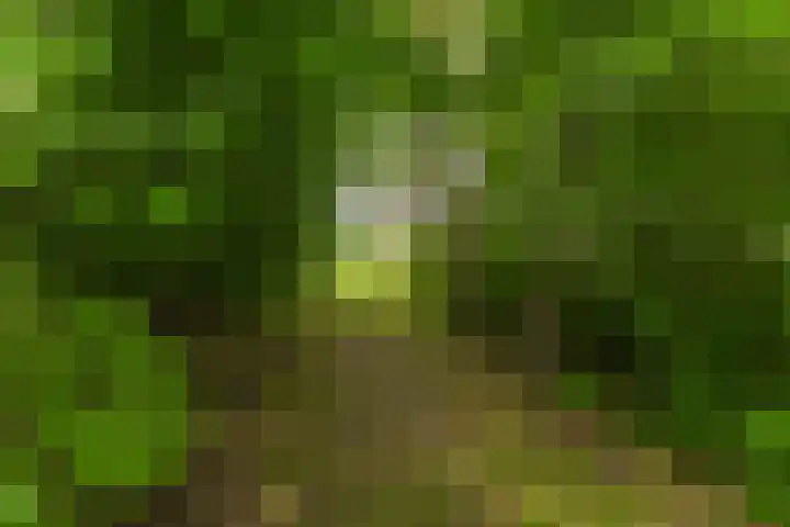 Jonkerslandreed 5 Oudehorne thumbnail 28