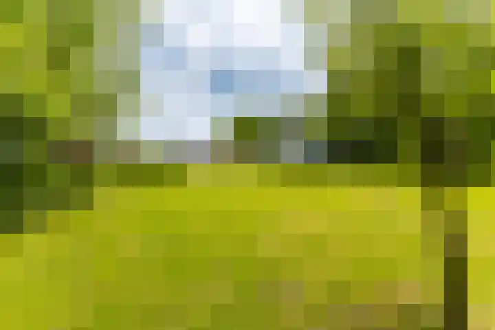 Jonkerslandreed 5 Oudehorne thumbnail 33