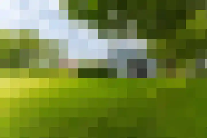 Jonkerslandreed 5 Oudehorne thumbnail 34