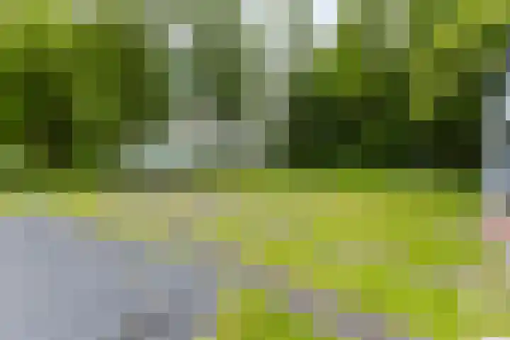 Jonkerslandreed 5 Oudehorne thumbnail 37