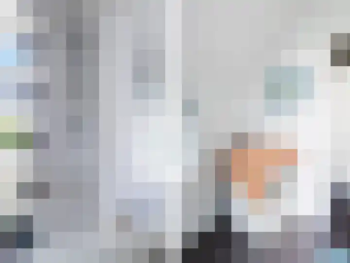 Jonkerslandreed 5 Oudehorne thumbnail 60