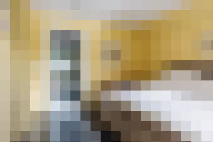 Jonkerslandreed 5 Oudehorne thumbnail 67