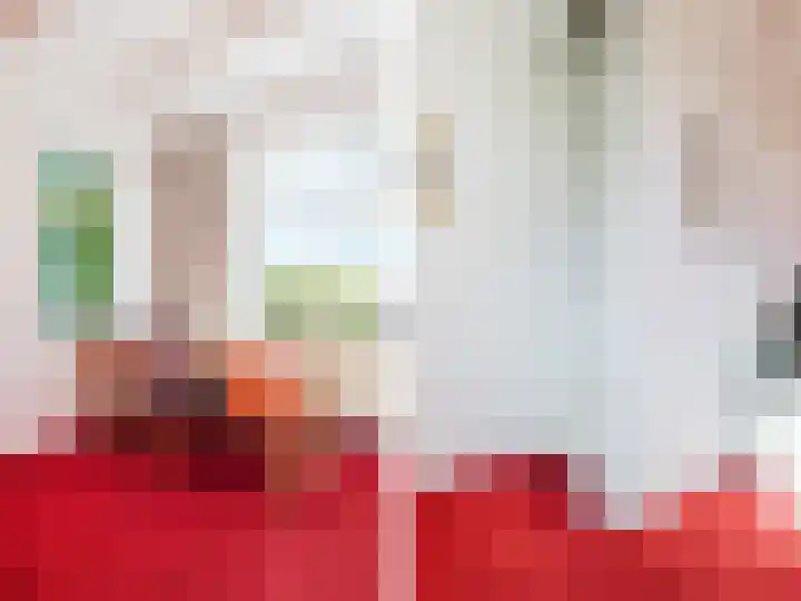 Jonkerslandreed 5 Oudehorne thumbnail 69