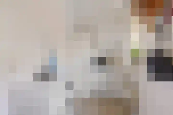 Jonkerspaed 12 Aldtsjerk thumbnail 11
