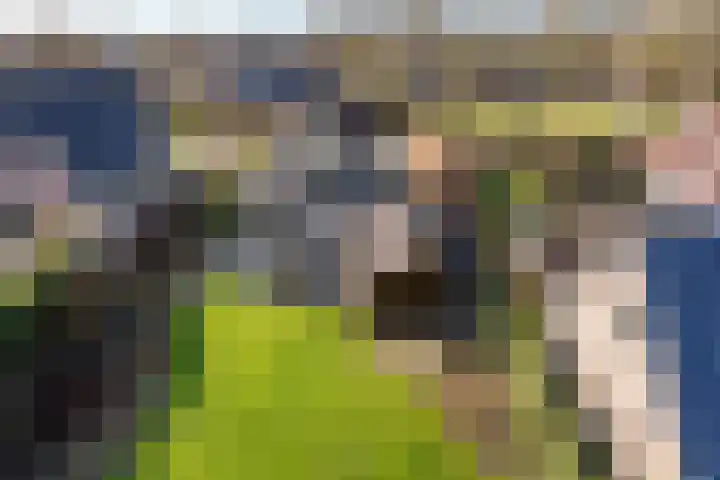 Jonkerspaed 12 Aldtsjerk thumbnail 40