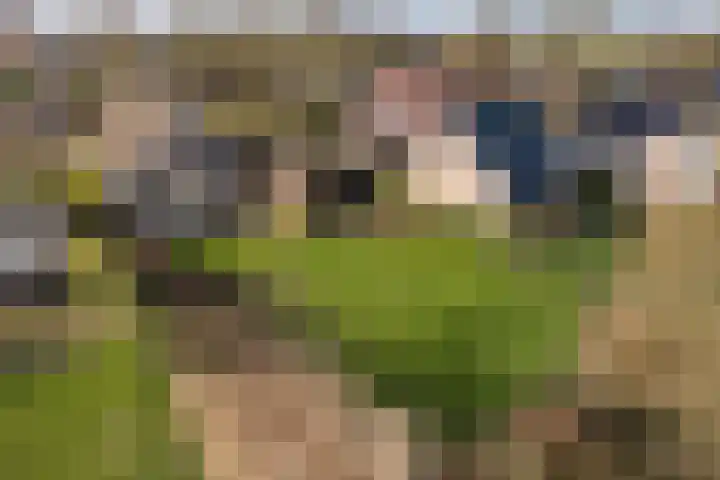 Jonkerspaed 12 Aldtsjerk thumbnail 41