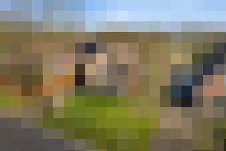 Jonkerspaed 12 Aldtsjerk thumbnail 42