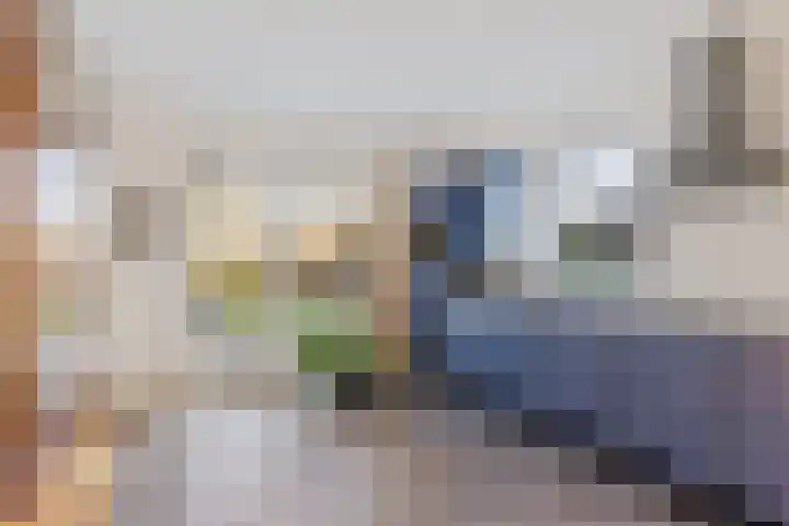 Jonkerspaed 12 Aldtsjerk thumbnail 8