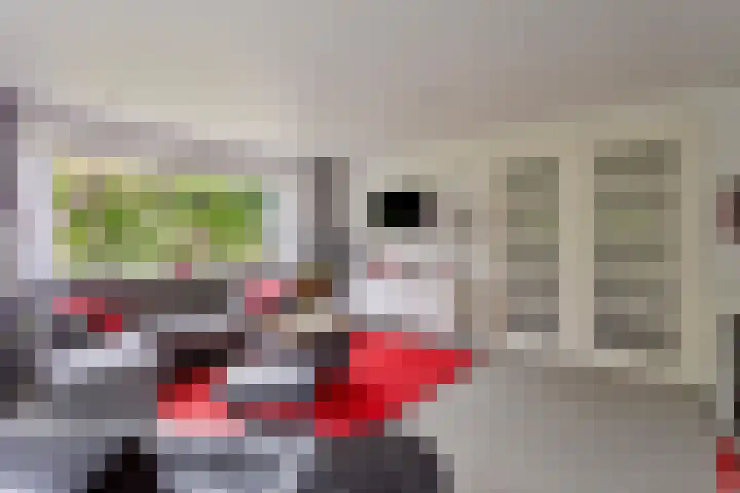 Jonkerstee 21 Ouddorp thumbnail 10