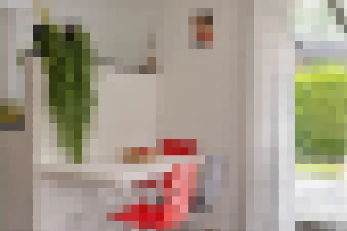 Jonkerstee 21 Ouddorp thumbnail 12